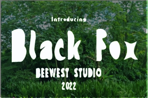 Black Fox: A Bold Display Font for Creative Impact