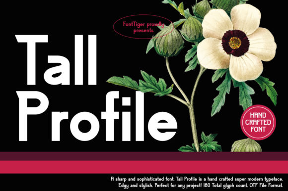 Tall Profile: A Bold, Versatile Display Font